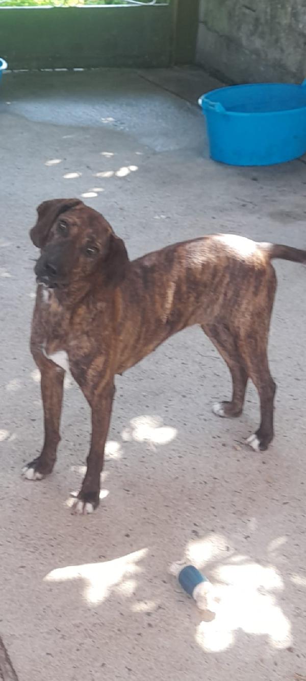 💔 Lidia, abbandonata ma con tanta voglia di vivere 💔 Foto 2